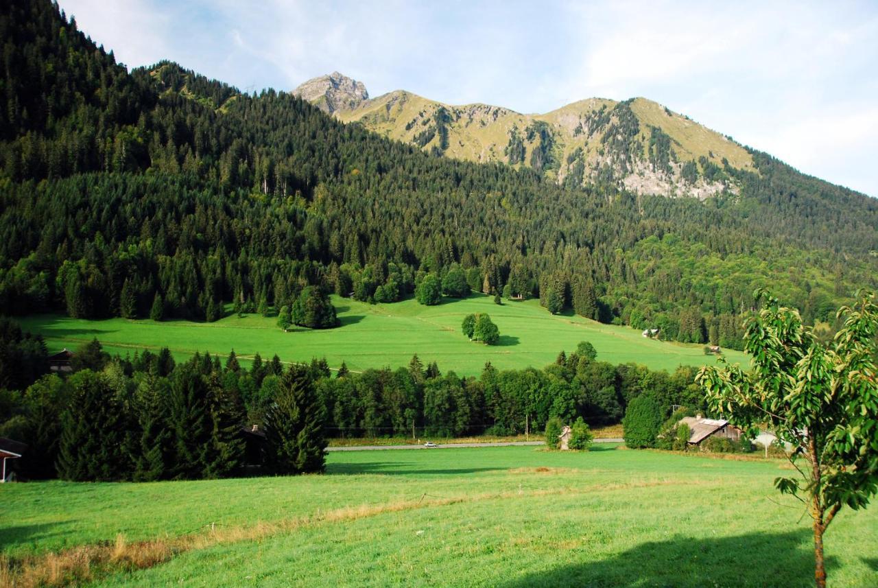Chalet Cannelle Châtel Extérieur photo