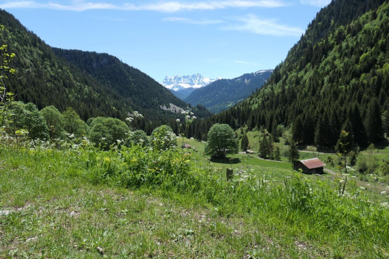 Chalet Cannelle Châtel Extérieur photo