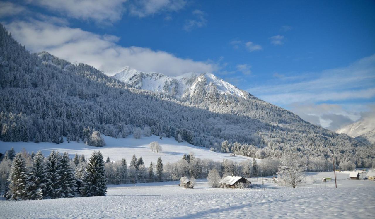Chalet Cannelle Châtel Extérieur photo